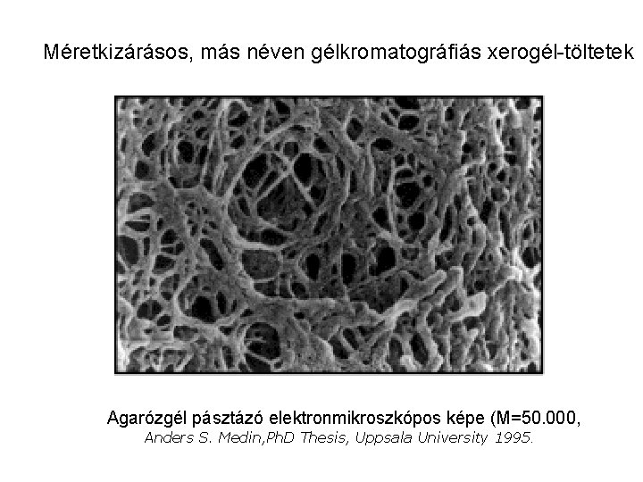 Méretkizárásos, más néven gélkromatográfiás xerogél-töltetek Agarózgél pásztázó elektronmikroszkópos képe (M=50. 000, Anders S. Medin,