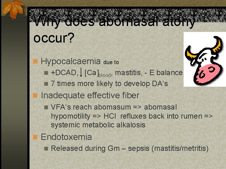 Why does abomasal atony occur? n Hypocalcaemia due to n +DCAD, [Ca]blood, mastitis, -