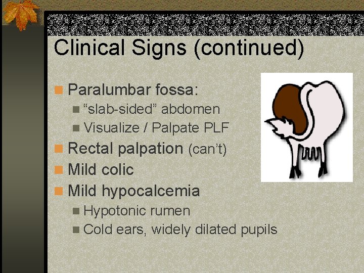 Clinical Signs (continued) n Paralumbar fossa: n “slab-sided” abdomen n Visualize / Palpate PLF