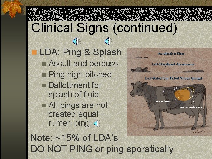 Clinical Signs (continued) n LDA: Ping & Splash n Ascult and percuss n Ping