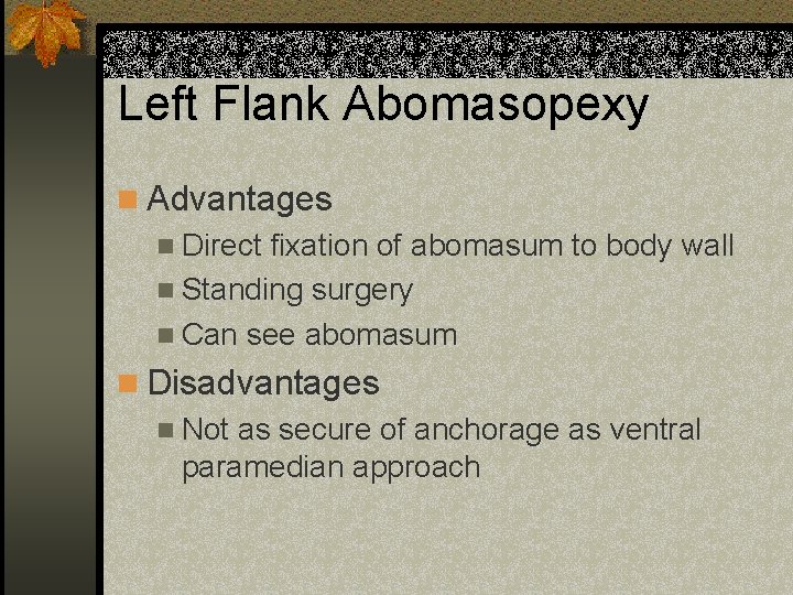 Left Flank Abomasopexy n Advantages n Direct fixation of abomasum to body wall n