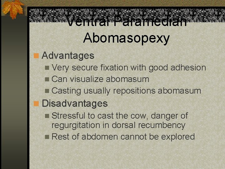Ventral Paramedian Abomasopexy n Advantages n Very secure fixation with good adhesion n Can