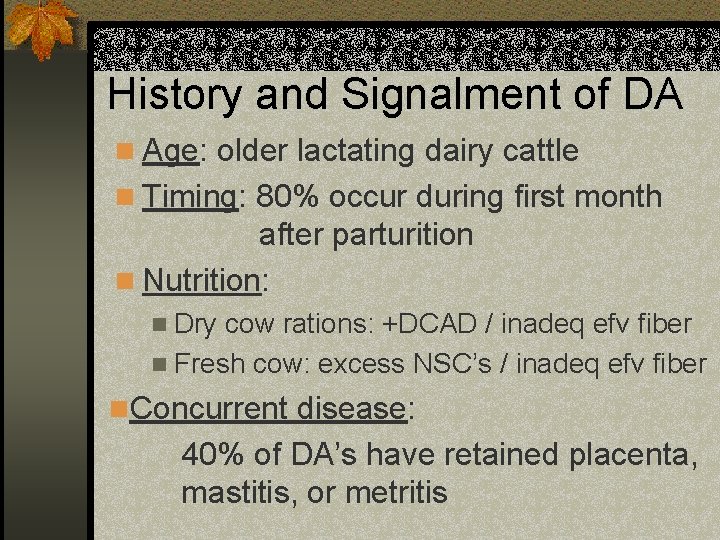 History and Signalment of DA n Age: older lactating dairy cattle n Timing: 80%