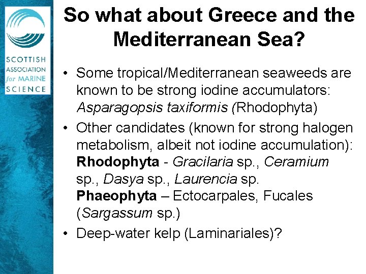 So what about Greece and the Mediterranean Sea? • Some tropical/Mediterranean seaweeds are known