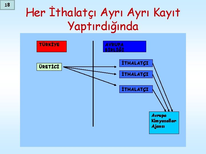 18 Her İthalatçı Ayrı Kayıt Yaptırdığında TÜRKİYE ÜRETİCİ AVRUPA BİRLİĞİ İTHALATÇI İTHALATÇI Avrupa Kimyasallar