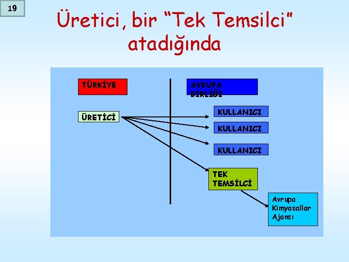 19 Üretici, bir “Tek Temsilci” atadığında TÜRKİYE ÜRETİCİ AVRUPA BİRLİĞİ KULLANICI TEK TEMSİLCİ Avrupa