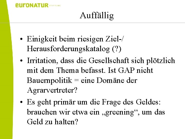 Auffällig • Einigkeit beim riesigen Ziel-/ Herausforderungskatalog (? ) • Irritation, dass die Gesellschaft