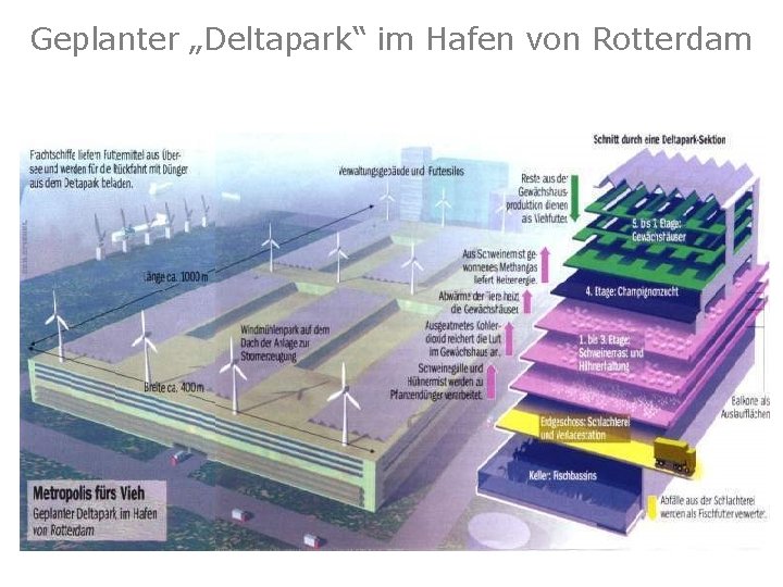 Geplanter „Deltapark“ im Hafen von Rotterdam Grafik: Der Spiegel (2000) 