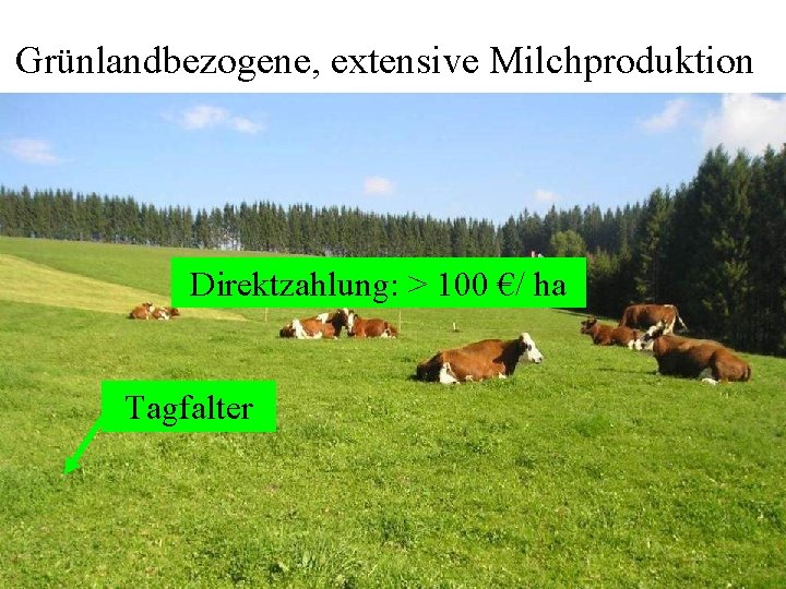 Grünlandbezogene, extensive Milchproduktion Direktzahlung: > 100 €/ ha Tagfalter 