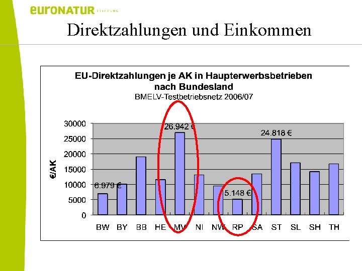 Direktzahlungen und Einkommen 