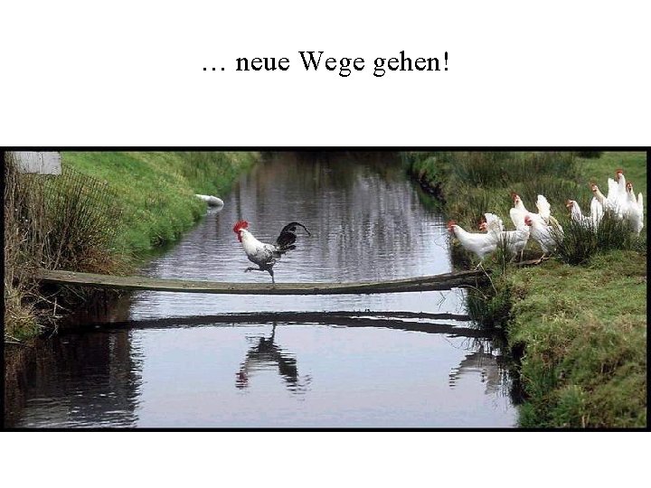 … neue Wege gehen! 