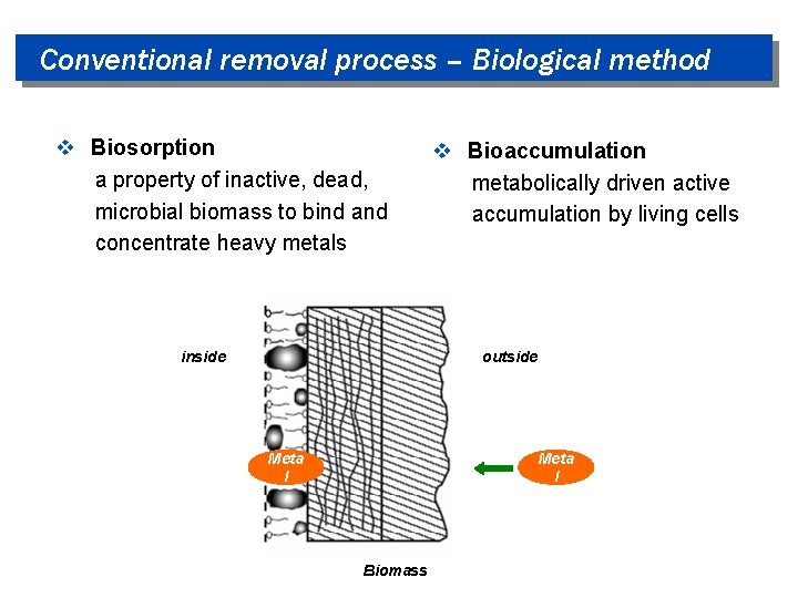 Conventional removal process – Biological method v Biosorption a property of inactive, dead, microbial