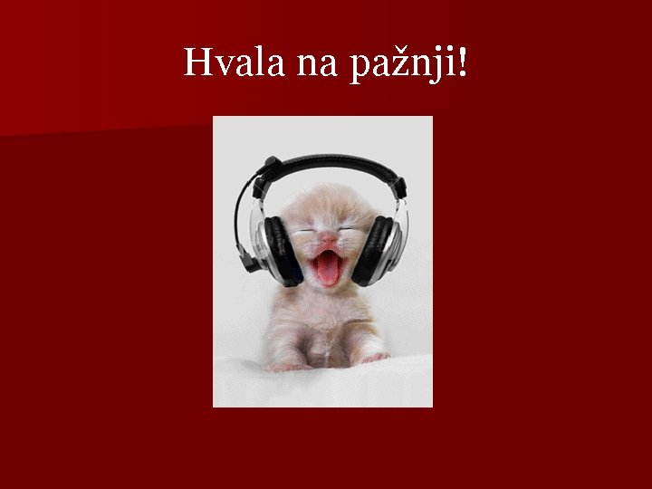 Hvala na pažnji! 