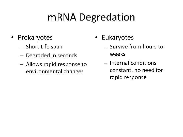 m. RNA Degredation • Prokaryotes – Short Life span – Degraded in seconds –