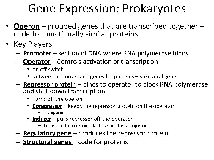 Gene Expression: Prokaryotes • Operon – grouped genes that are transcribed together – code