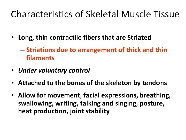 Characteristics of Skeletal Muscle Tissue • Long, thin contractile fibers that are Striated –