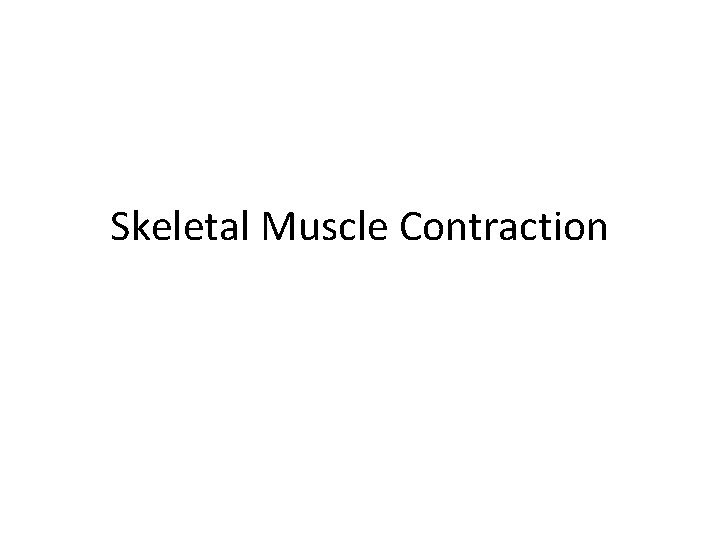 Skeletal Muscle Contraction 