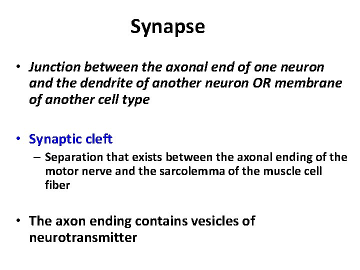 Synapse • Junction between the axonal end of one neuron and the dendrite of