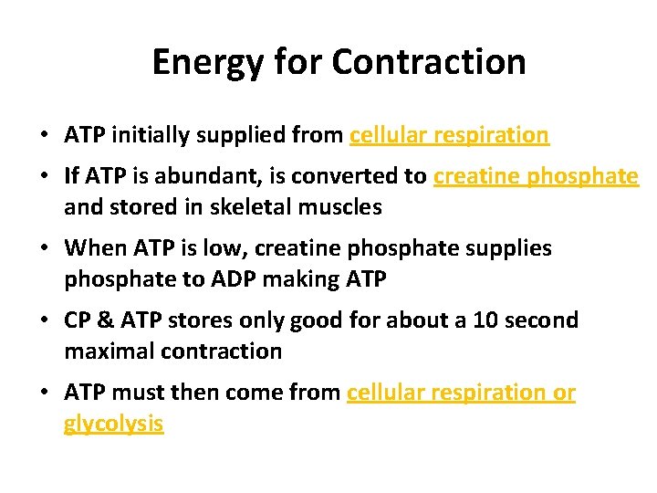 Energy for Contraction • ATP initially supplied from cellular respiration • If ATP is
