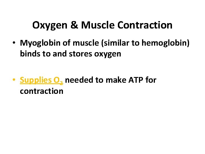 Oxygen & Muscle Contraction • Myoglobin of muscle (similar to hemoglobin) binds to and