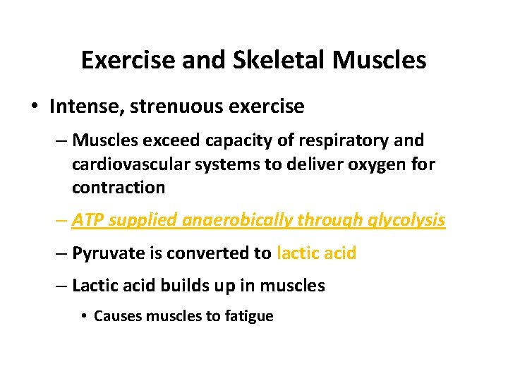 Exercise and Skeletal Muscles • Intense, strenuous exercise – Muscles exceed capacity of respiratory