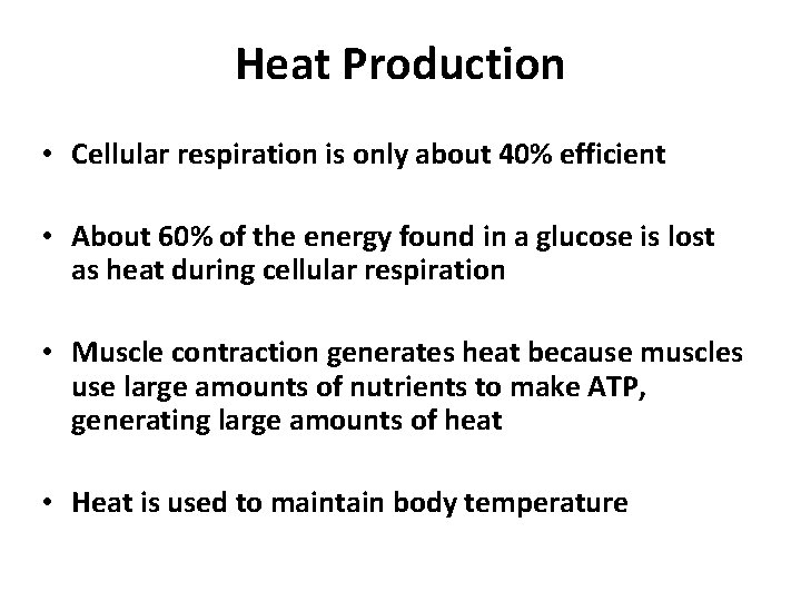 Heat Production • Cellular respiration is only about 40% efficient • About 60% of