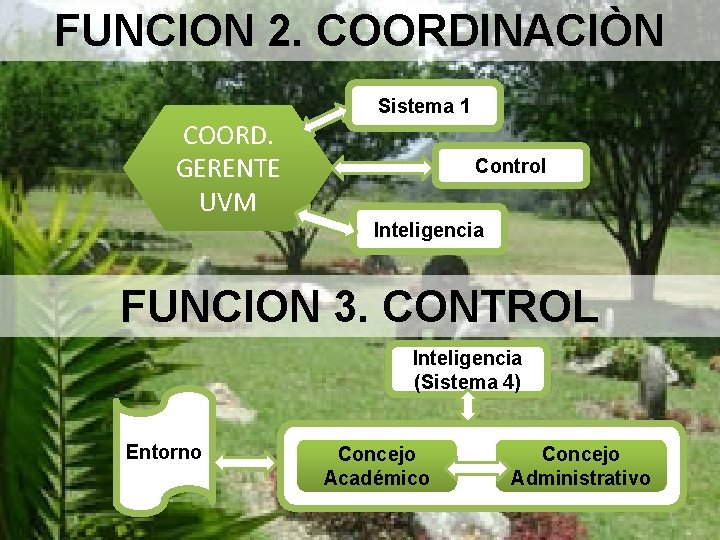 FUNCION 2. COORDINACIÒN COORD. GERENTE UVM Sistema 1 Control Inteligencia FUNCION 3. CONTROL Inteligencia