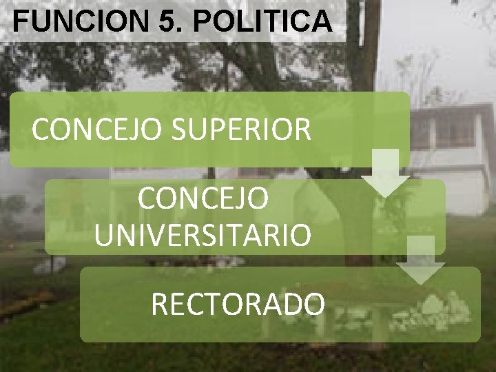 FUNCION 5. POLITICA CONCEJO SUPERIOR CONCEJO UNIVERSITARIO RECTORADO 