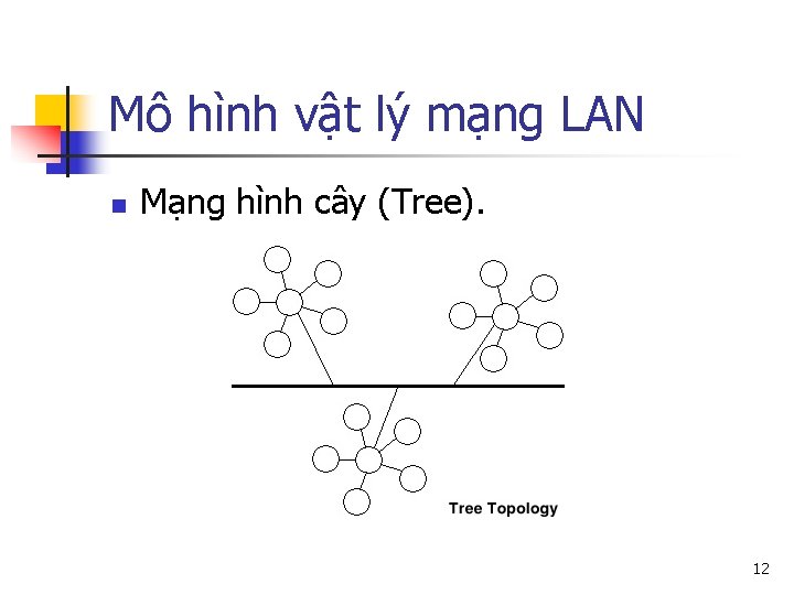 Mô hình vật lý mạng LAN n Mạng hình cây (Tree). 12 