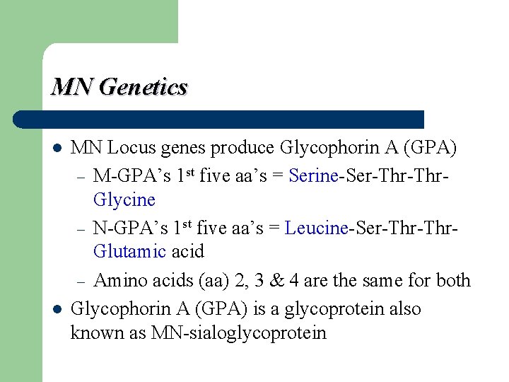 MN Genetics l l MN Locus genes produce Glycophorin A (GPA) – M-GPA’s 1