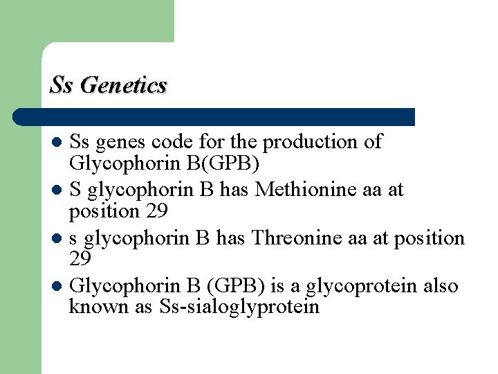 Ss Genetics Ss genes code for the production of Glycophorin B(GPB) l S glycophorin