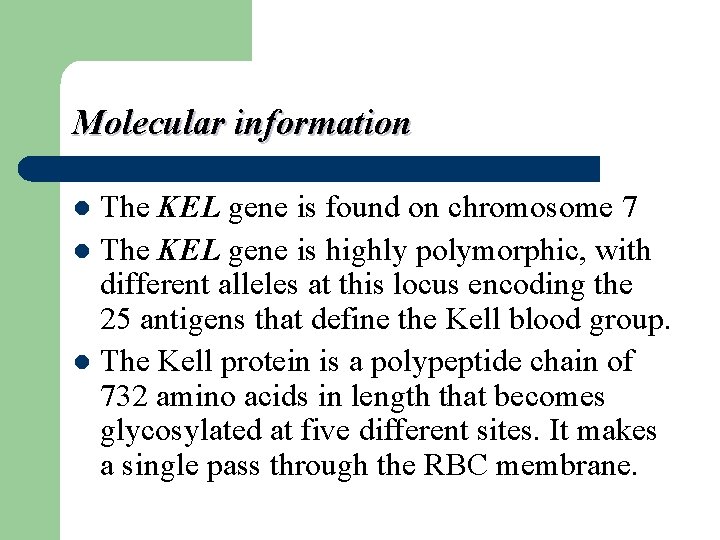 Molecular information The KEL gene is found on chromosome 7 l The KEL gene