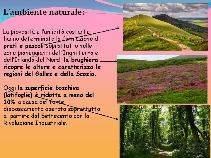 L’ambiente naturale: La piovosità e l’umidità costante hanno determinato la formazione di prati e