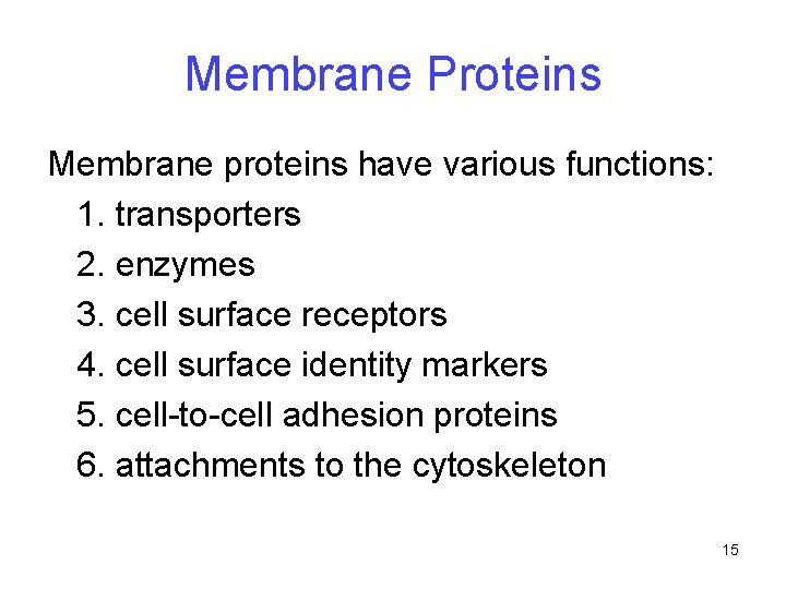 Membrane Proteins Membrane proteins have various functions: 1. transporters 2. enzymes 3. cell surface