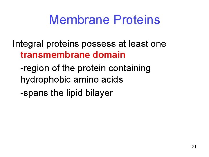 Membrane Proteins Integral proteins possess at least one transmembrane domain -region of the protein