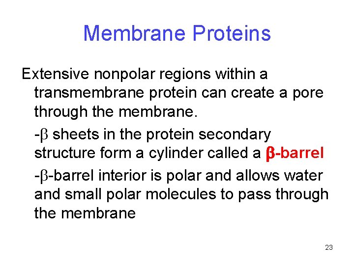 Membrane Proteins Extensive nonpolar regions within a transmembrane protein can create a pore through