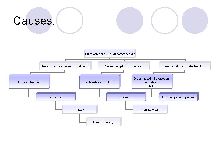 Causes. What can cause Thrombocytopenia? Decreased production of platelets. Decreased platelet survival. Diseminated intravascular