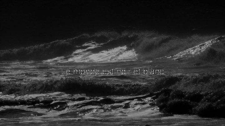 Le monde est noir et blanc 