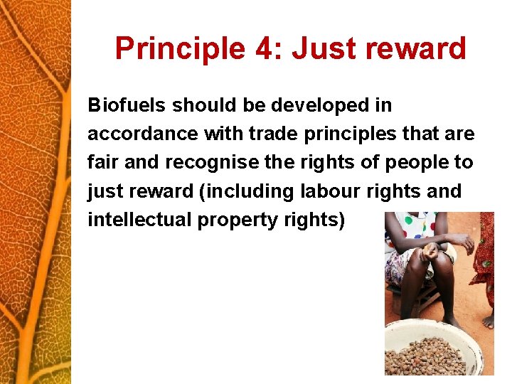 Principle 4: Just reward Biofuels should be developed in accordance with trade principles that
