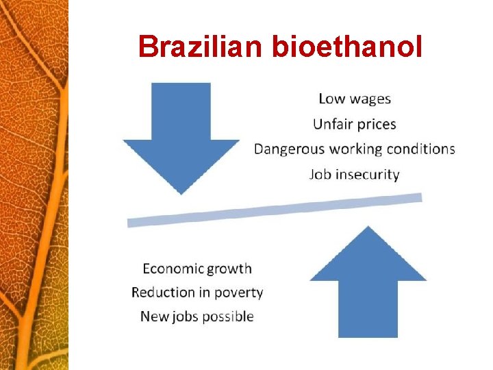 Brazilian bioethanol 
