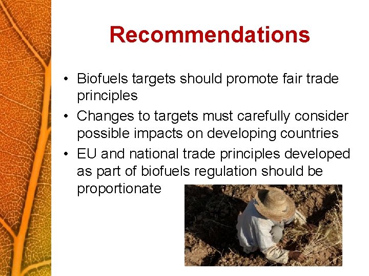 Recommendations • Biofuels targets should promote fair trade principles • Changes to targets must
