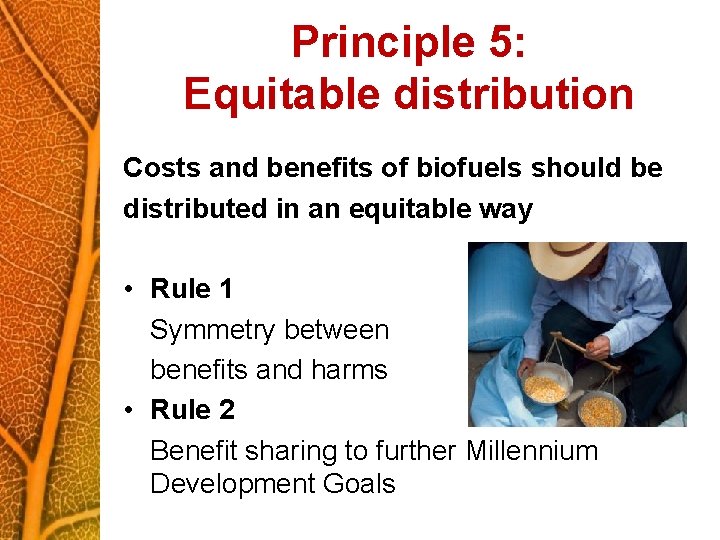 Principle 5: Equitable distribution Costs and benefits of biofuels should be distributed in an