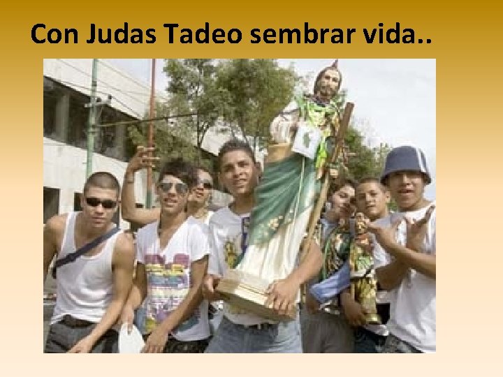 Con Judas Tadeo sembrar vida. . 