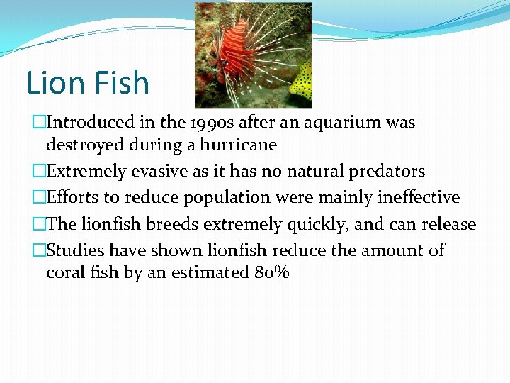 Lion Fish �Introduced in the 1990 s after an aquarium was destroyed during a