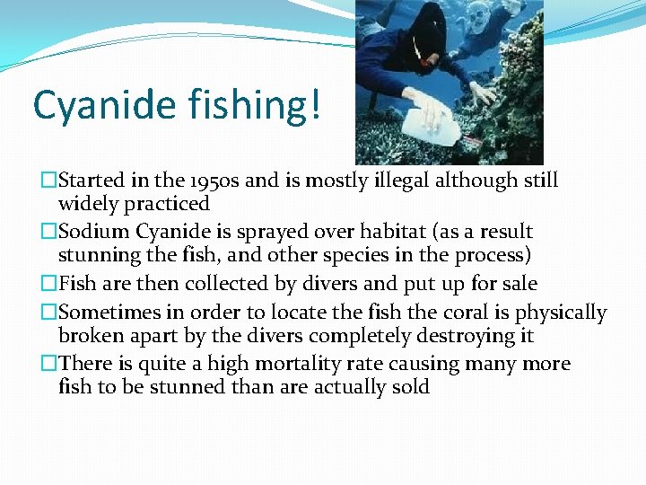 Cyanide fishing! �Started in the 1950 s and is mostly illegal although still widely