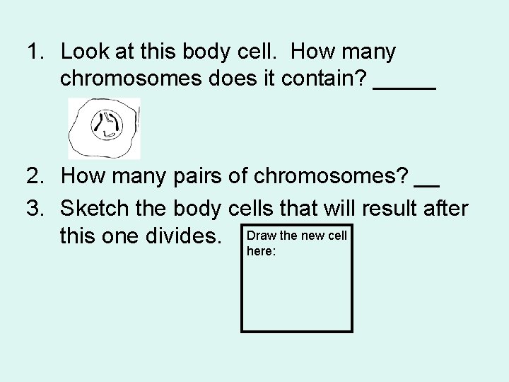1. Look at this body cell. How many chromosomes does it contain? _____ 2.