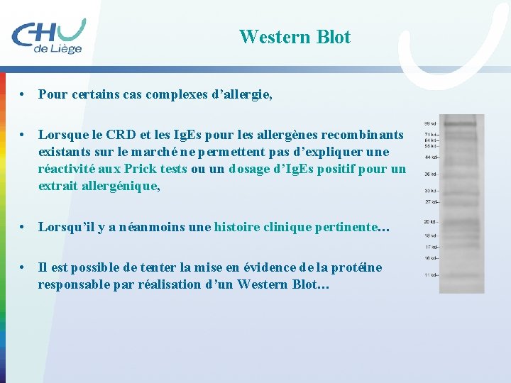 Western Blot • Pour certains cas complexes d’allergie, • Lorsque le CRD et les