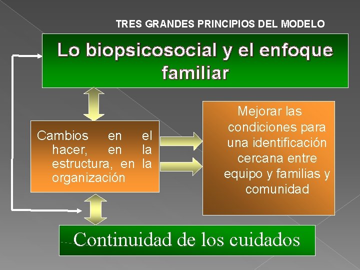 TRES GRANDES PRINCIPIOS DEL MODELO Lo biopsicosocial y el enfoque familiar Cambios en el