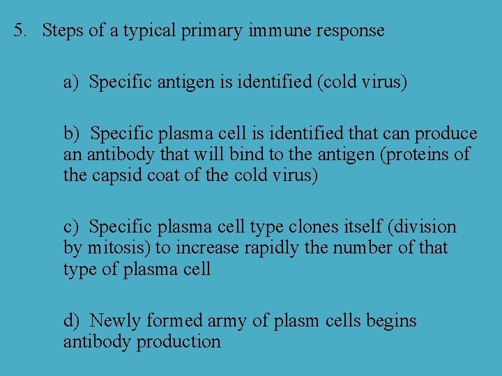 5. Steps of a typical primary immune response a) Specific antigen is identified (cold