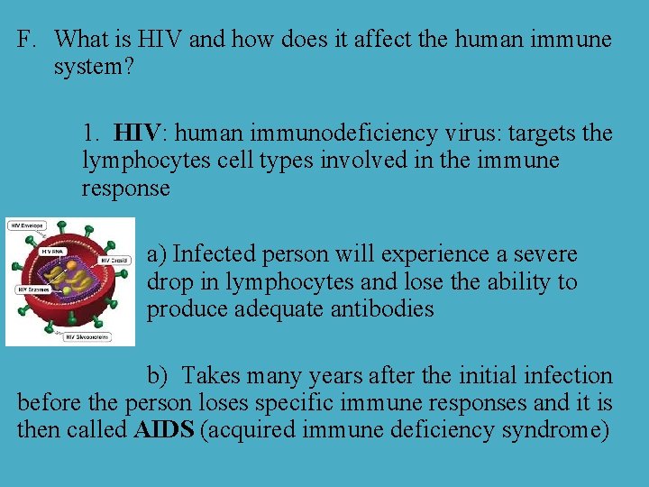 F. What is HIV and how does it affect the human immune system? 1.